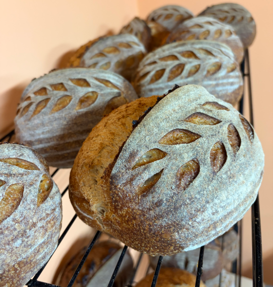 Sourdough Circle